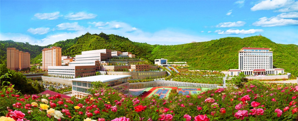 三季有花、四季常青的金徽礦區(qū)-p2.jpg