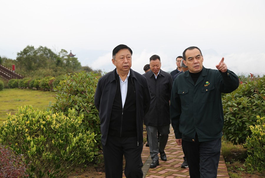 19-2021年10月，原國土資源部副部長汪民蒞臨公司調(diào)研。.jpg