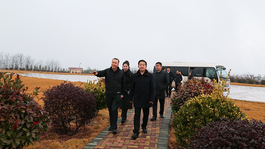 45-2020年12月，省高級人民法院黨組成員、副院長任建國蒞臨金徽股份調(diào)研知識產(chǎn)權司法保護工作。.jpg