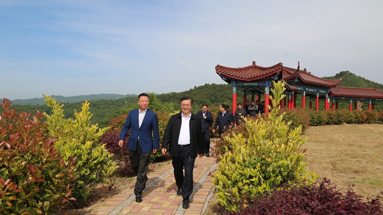 省人民檢察院黨組書記、檢察長朱玉調(diào)研金徽股份